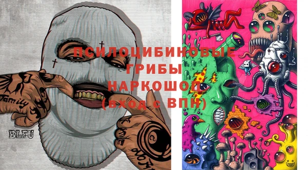 соль ск Абаза