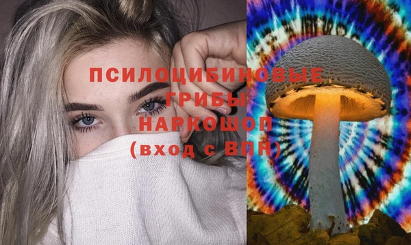 спайс Абдулино