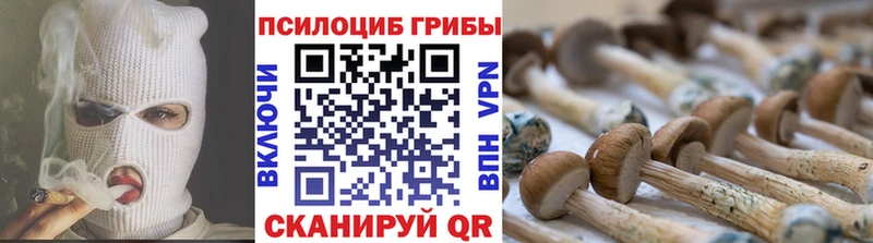 Псилоцибиновые грибы прущие грибы  хочу   Уржум 