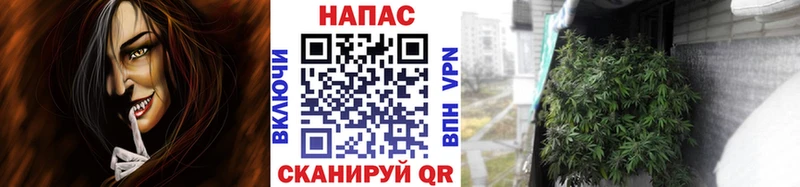 Шишки марихуана конопля Уржум
